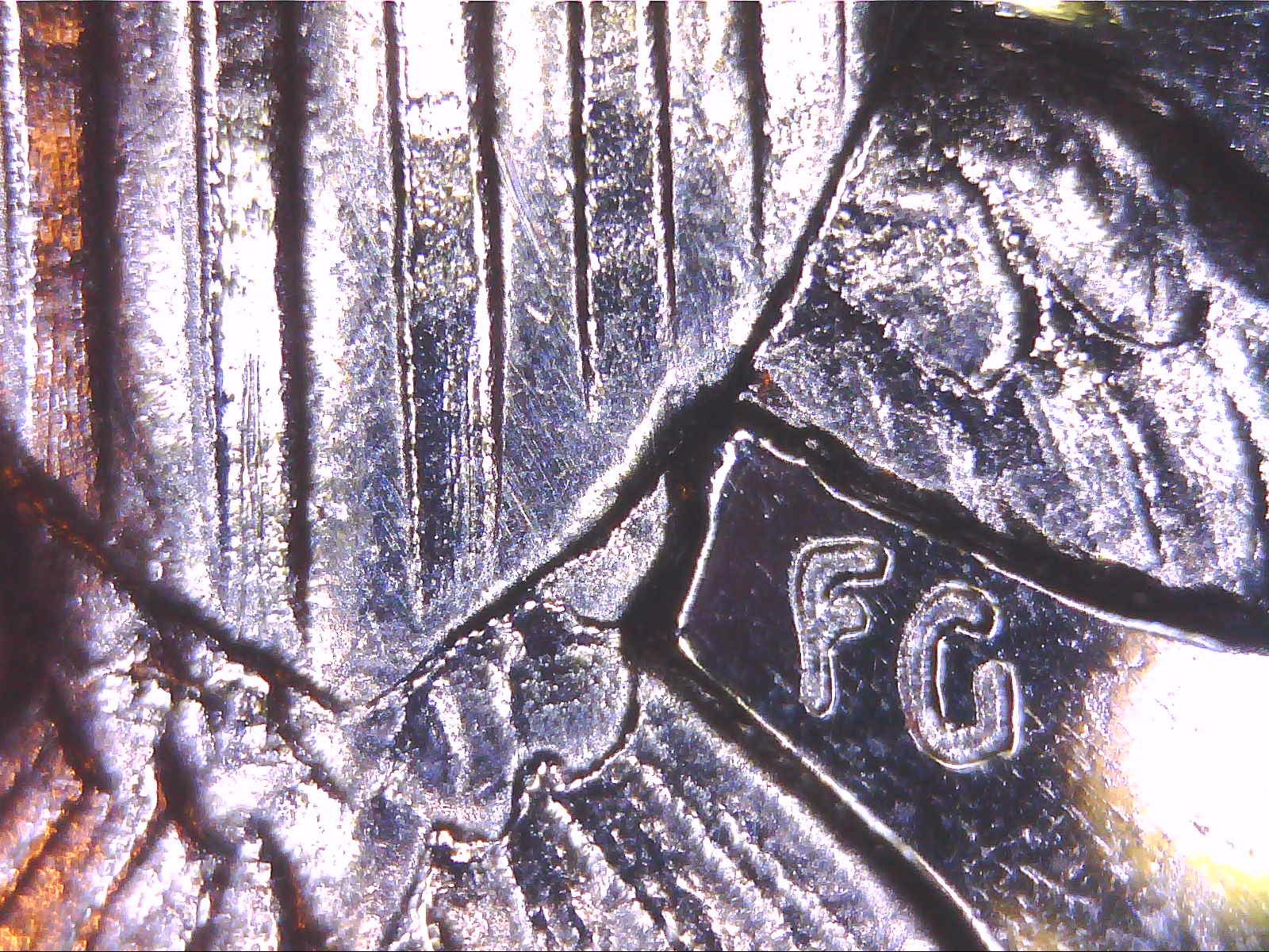 AccentHair6.jpg