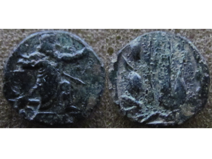 Achaemenid AE.jpg