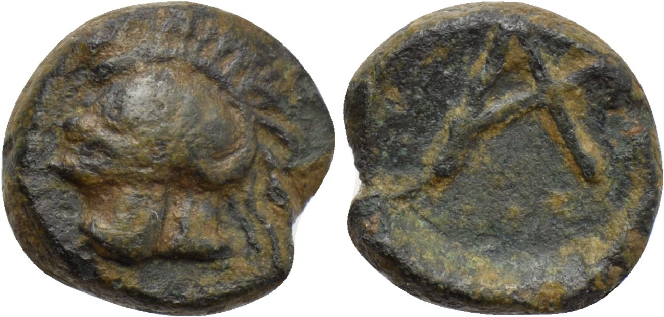 Achiellion 91329_1486670648.jpg