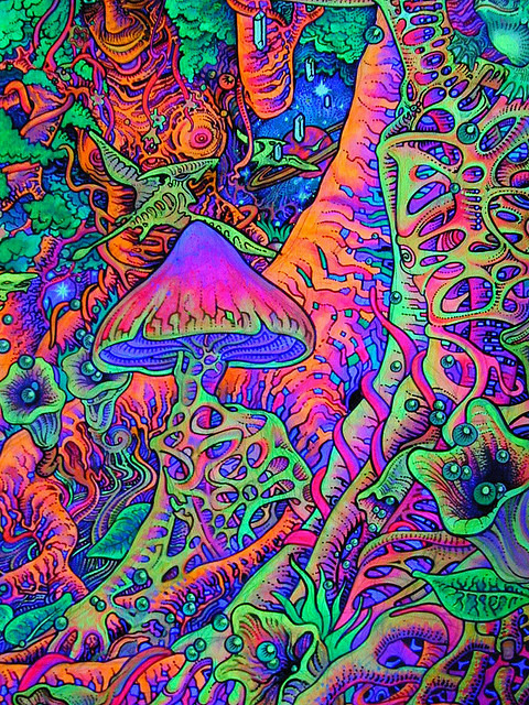 acid.jpg
