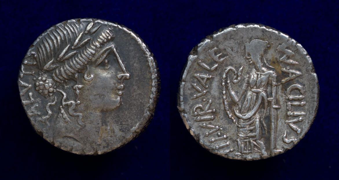 Acilia Denarius.jpg