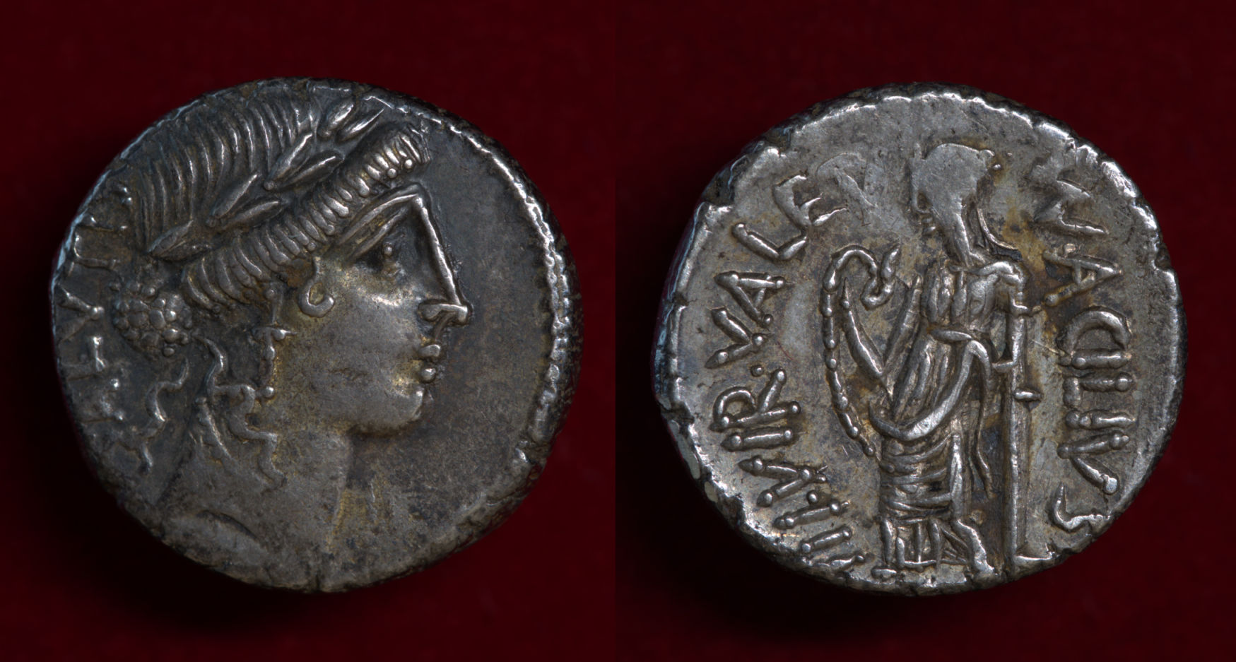 Acilius Denarius.jpg