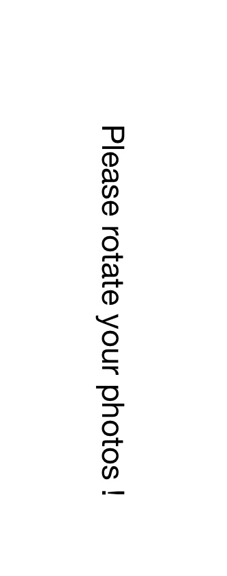 AD73152D-738C-47C4-8BCF-EA1AF3C64A82.jpeg