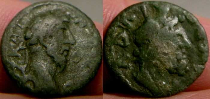 adadaMarcus.jpg