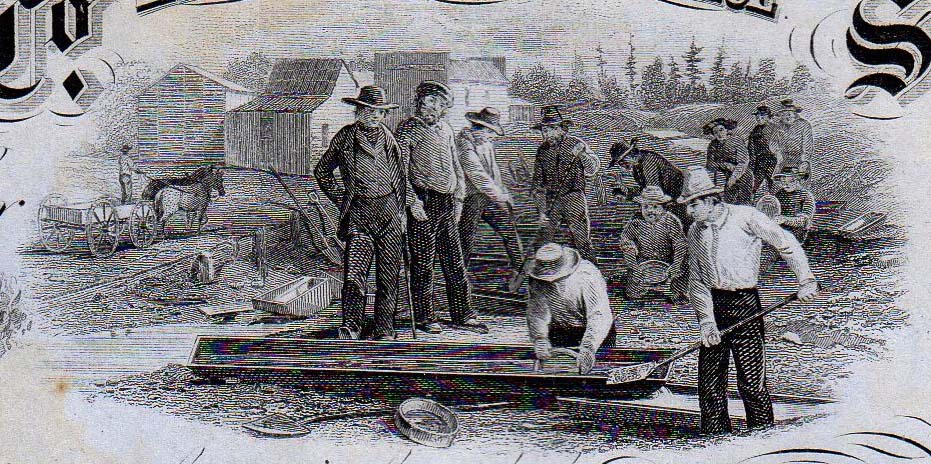 Adams & Co check cu.jpg
