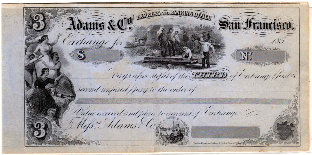 Adams & Co check.jpg