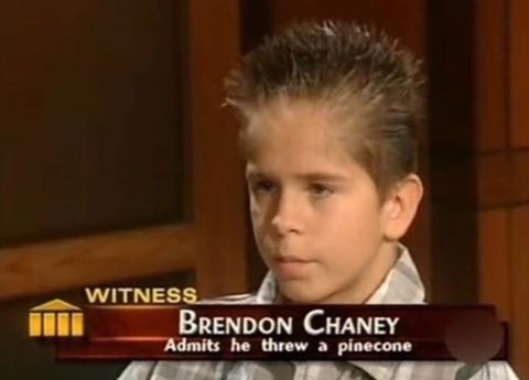 admits-he-threw-a-pinecone (1).jpg