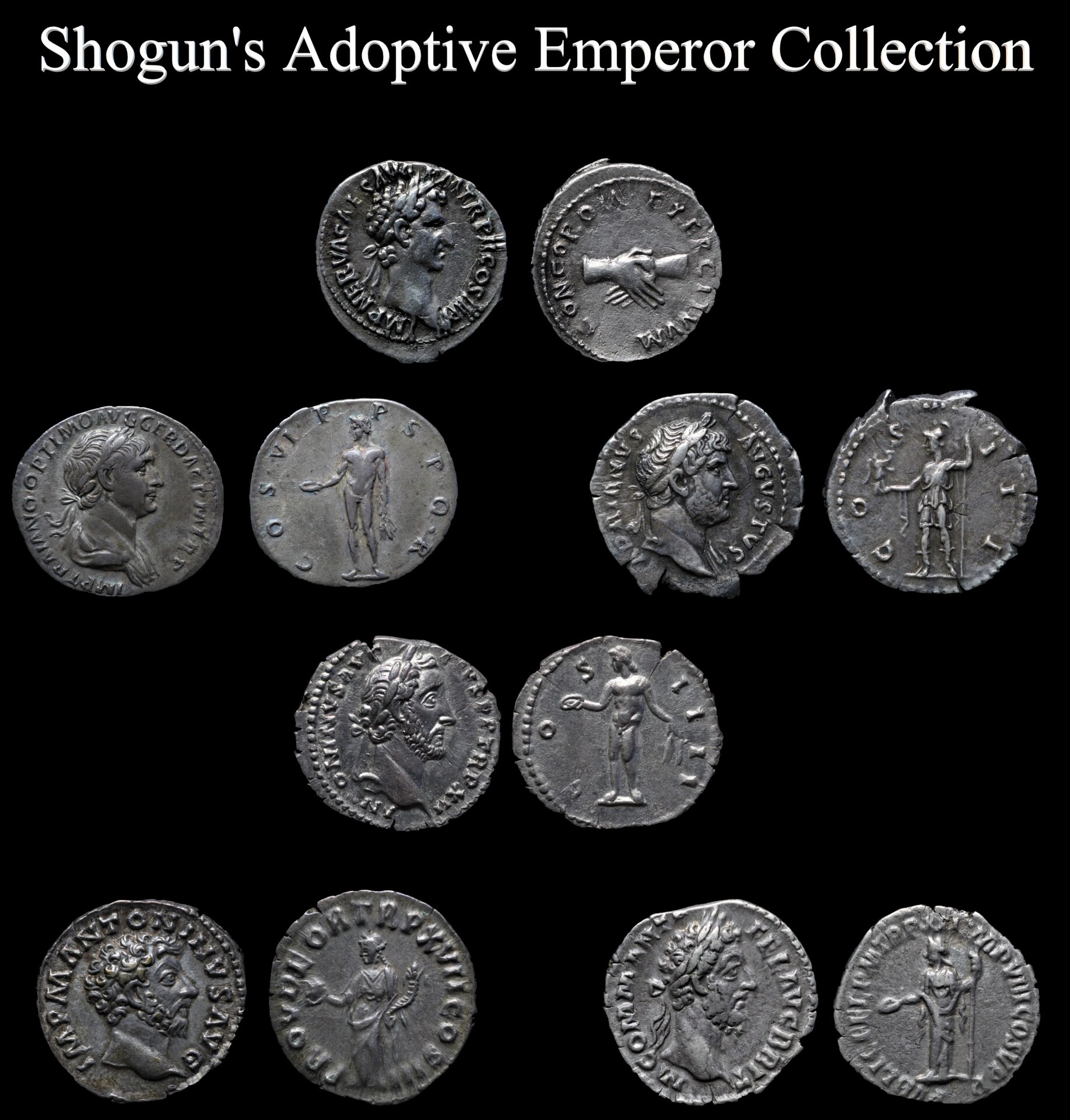 Adoptive Emperor Collection - Silver.jpg