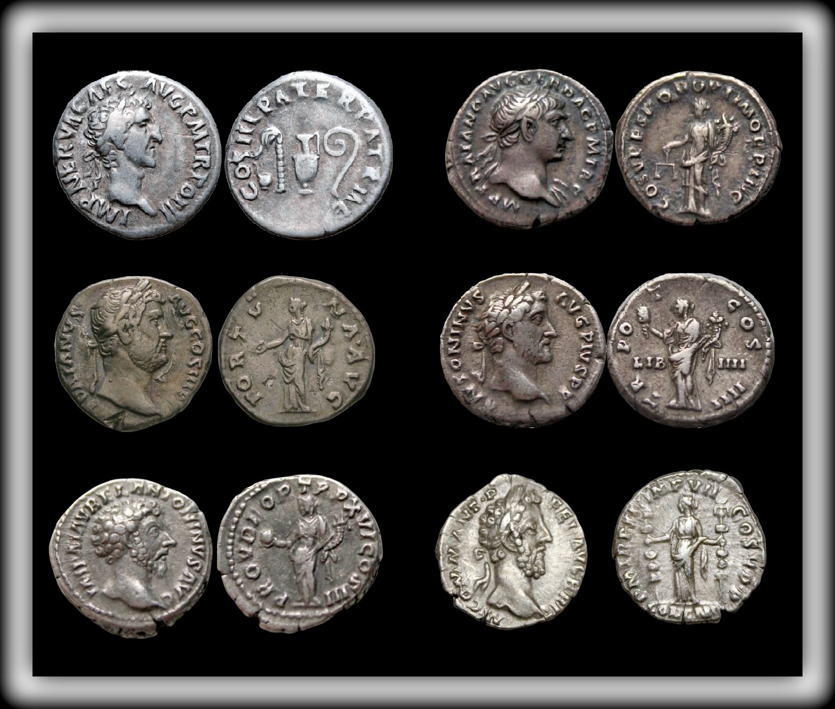 ADOPTIVE EMPEROROS X 6.jpg
