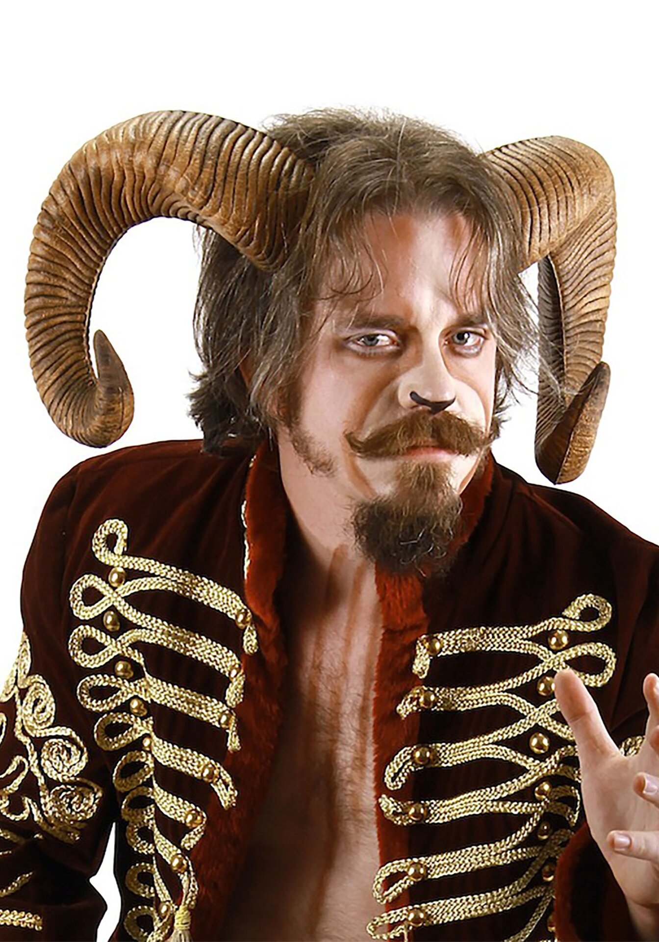 adult-ram-horns-update1.jpg
