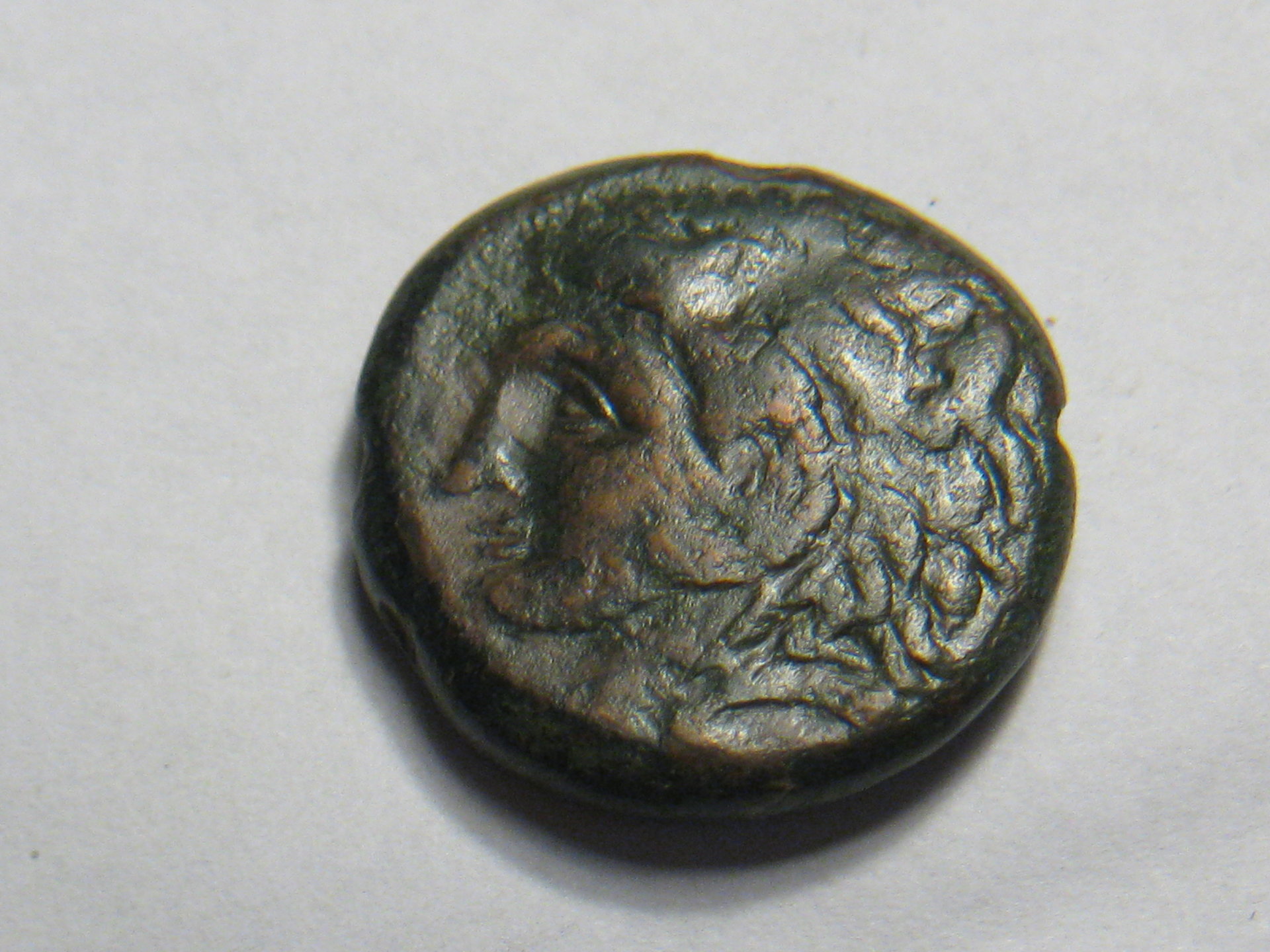 ae Greek Pyrrhus coin, Syracuse mint 278-276bc 001.JPG