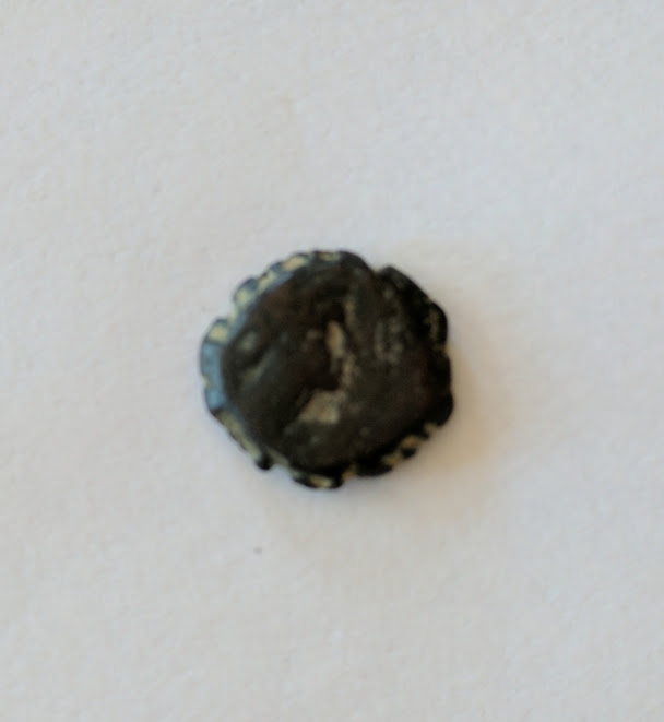 ae15serrate1.jpg