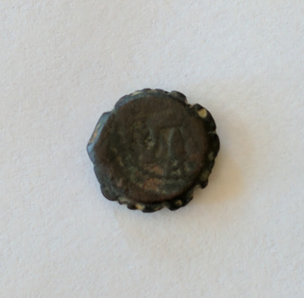 ae15serrate2.jpg