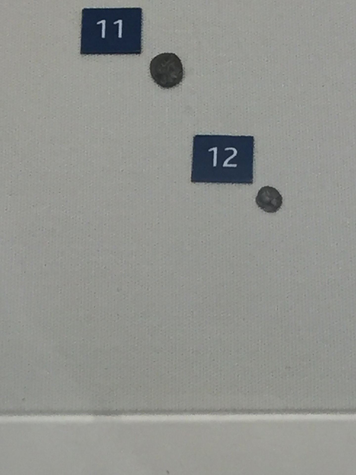 AE740089-80E2-43BD-A9EE-2938AC0221CC.jpeg