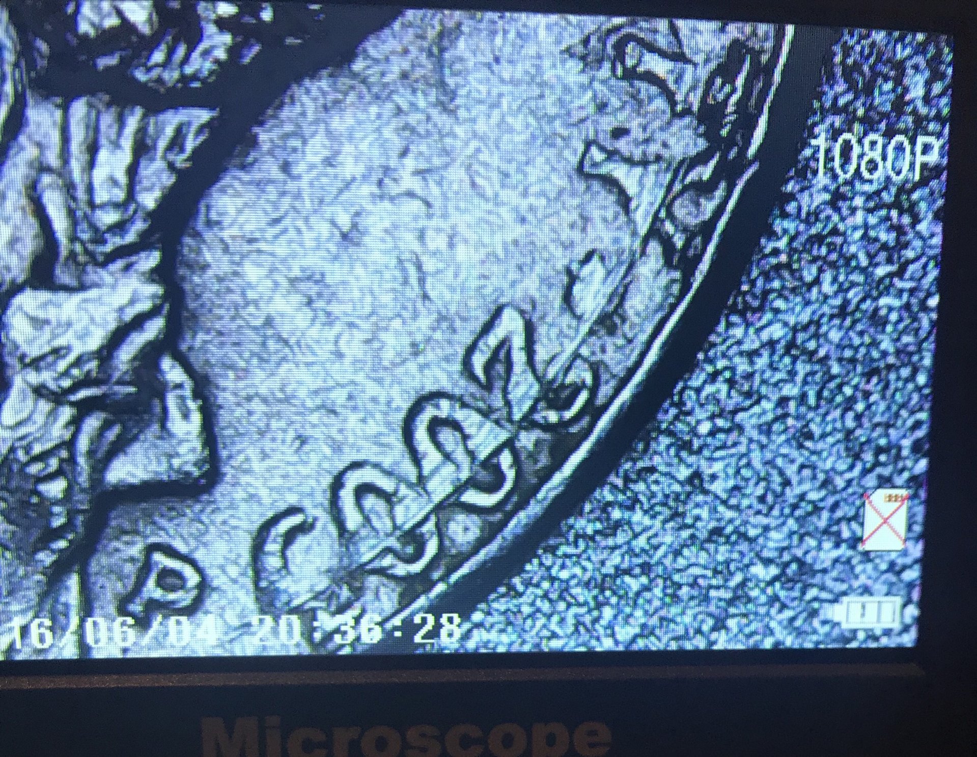 AEB7800F-DB50-45C7-B1A0-946645FDA177.jpeg