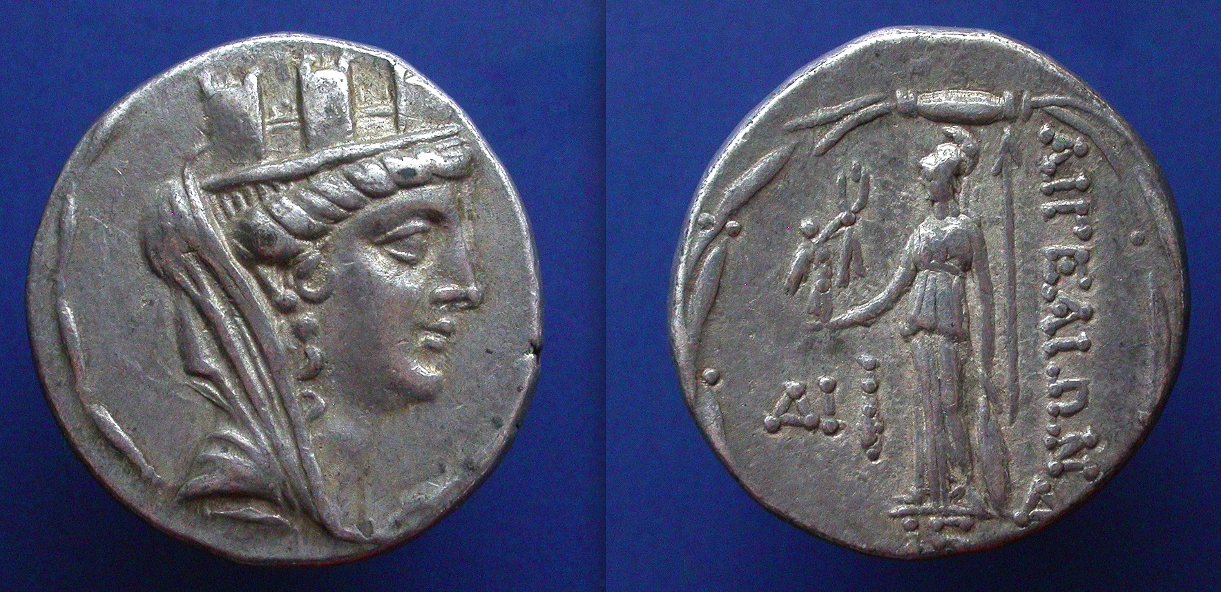 aegeae3.jpg