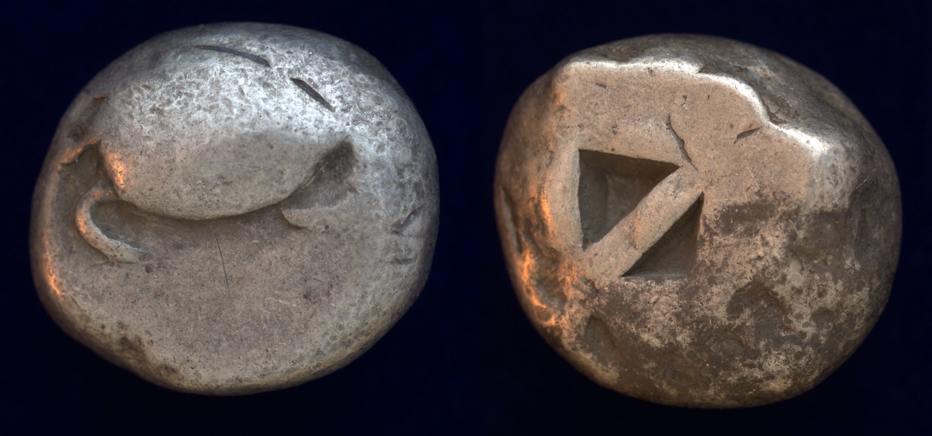Aegina Turtle.jpg