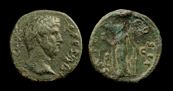 aelius 6.jpg