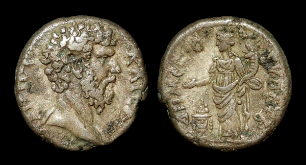 aelius alexandria 6.jpg