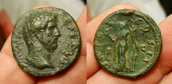aelius hand 6.jpg