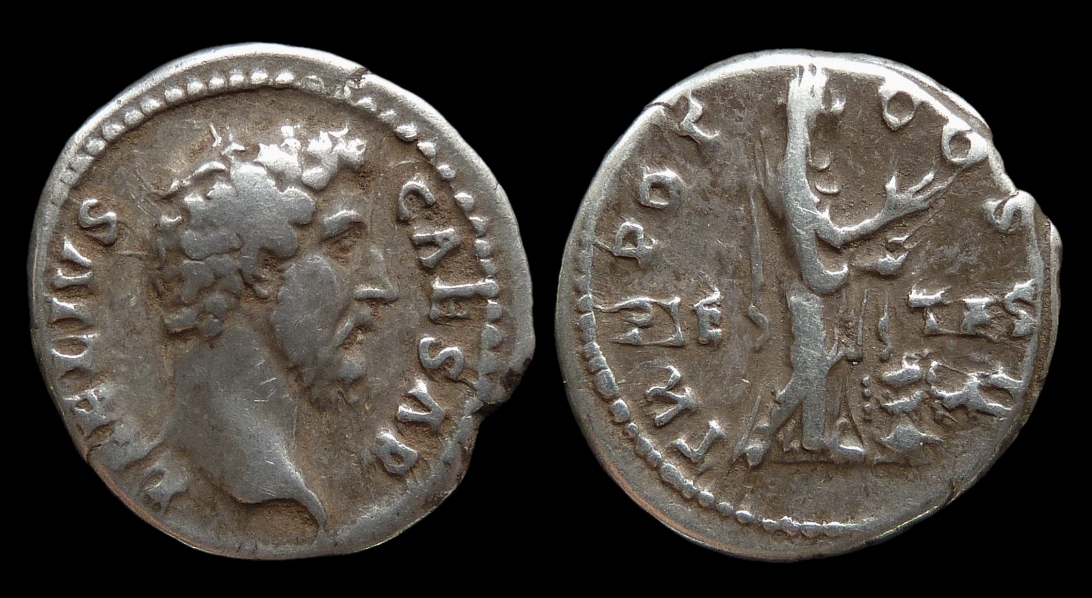Aelius - Pietas.jpg