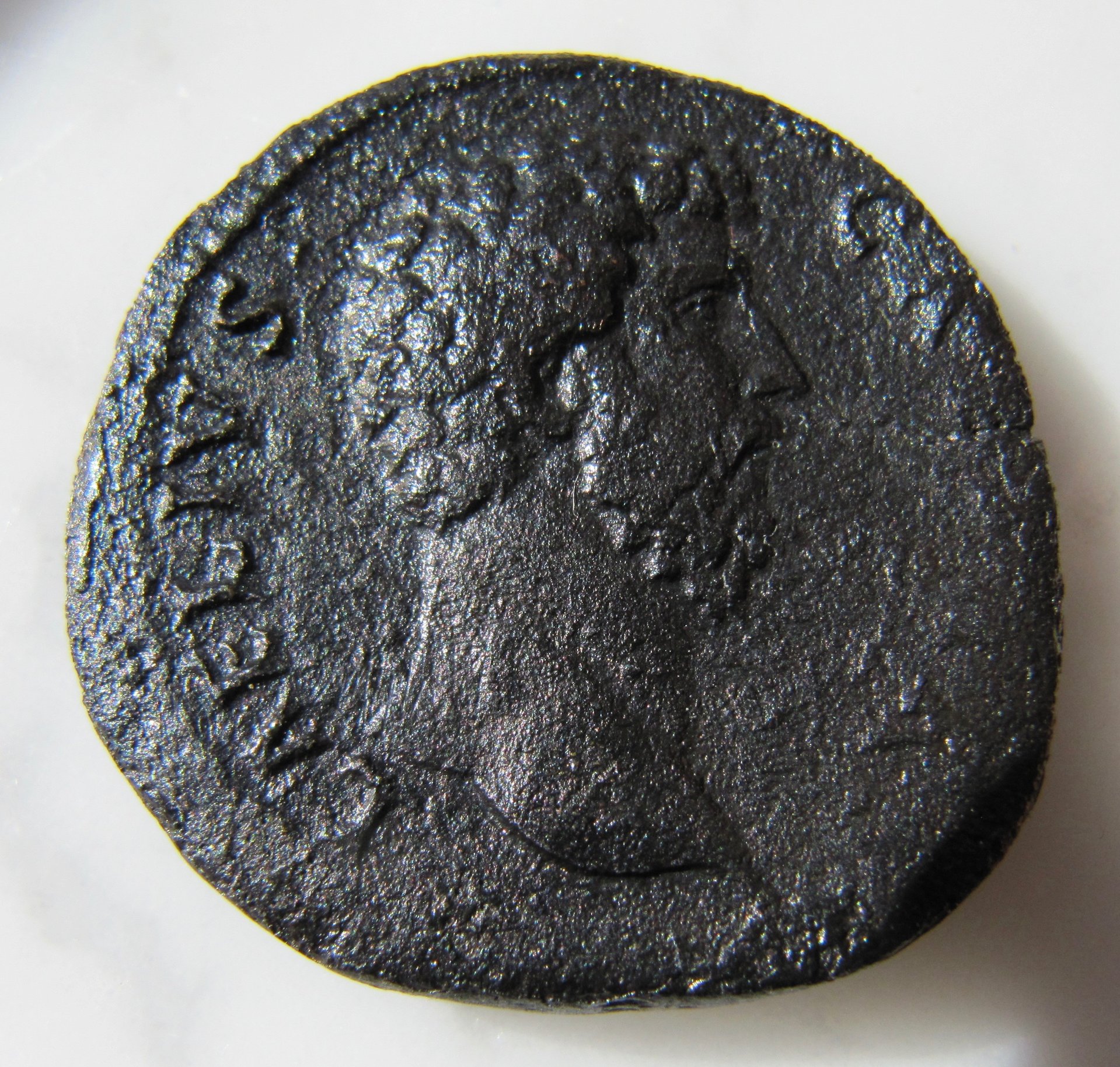Aelius Sestertius Concordia-Obv - 1.jpg