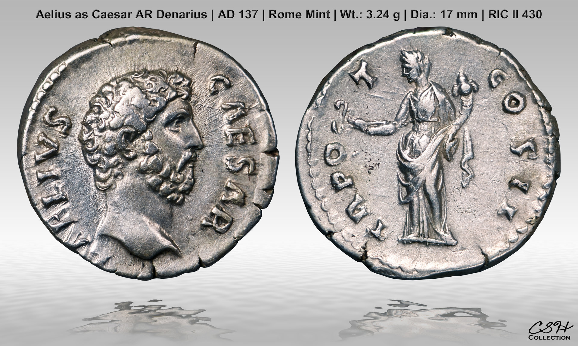 Aelius_Caes_Denarius_AD_137_CSH.jpg