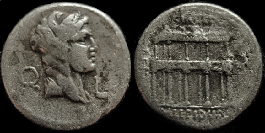 Aemilia lepidus 419-3.jpg