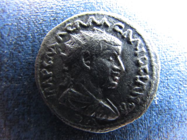 Aemillianus.JPG