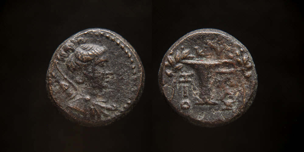 Aeolis, Kyme Artemis Cup.JPG