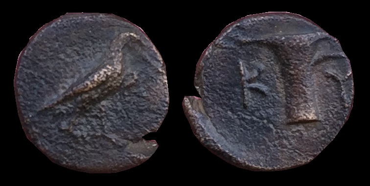 Aeolis Kyme.jpg