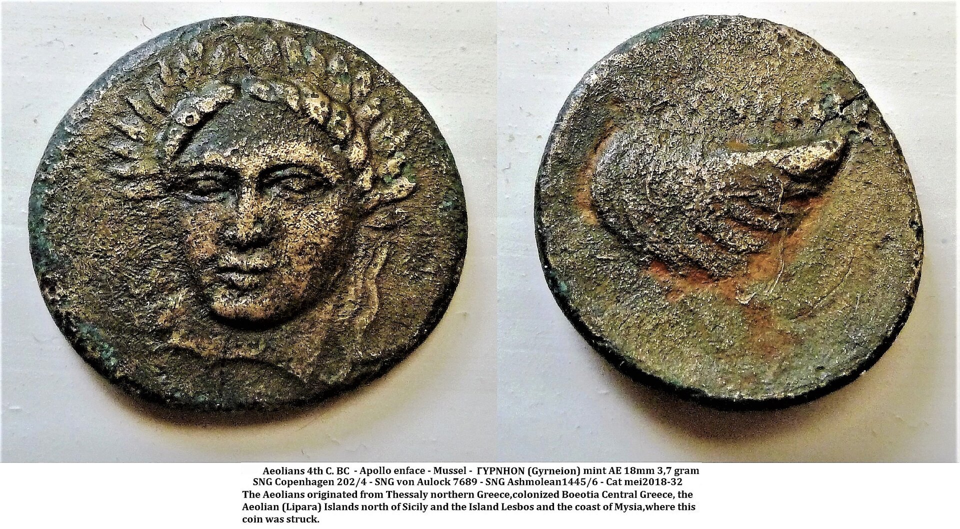 Aeolis - Lesbos - Apollo facing mussel 2 (2).jpg