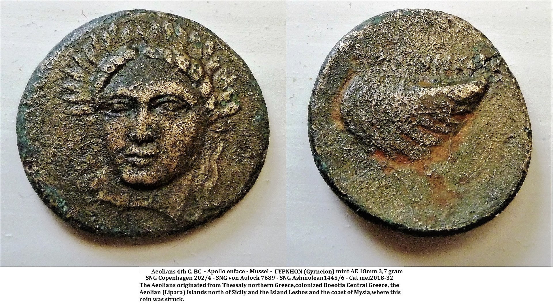 Aeolis - Lesbos - Apollo facing mussel 2.jpg