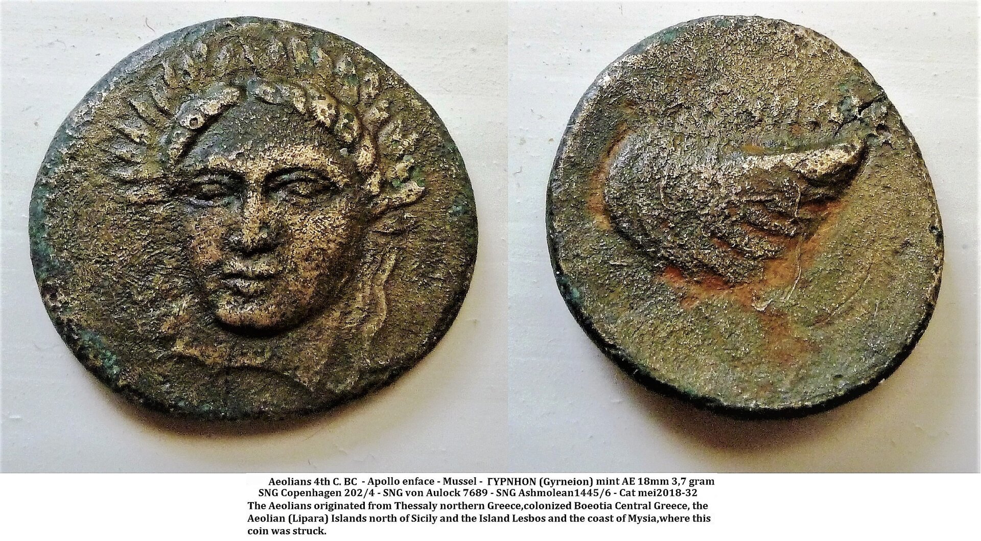Aeolis - Lesbos - Apollo facing mussel 2.jpg