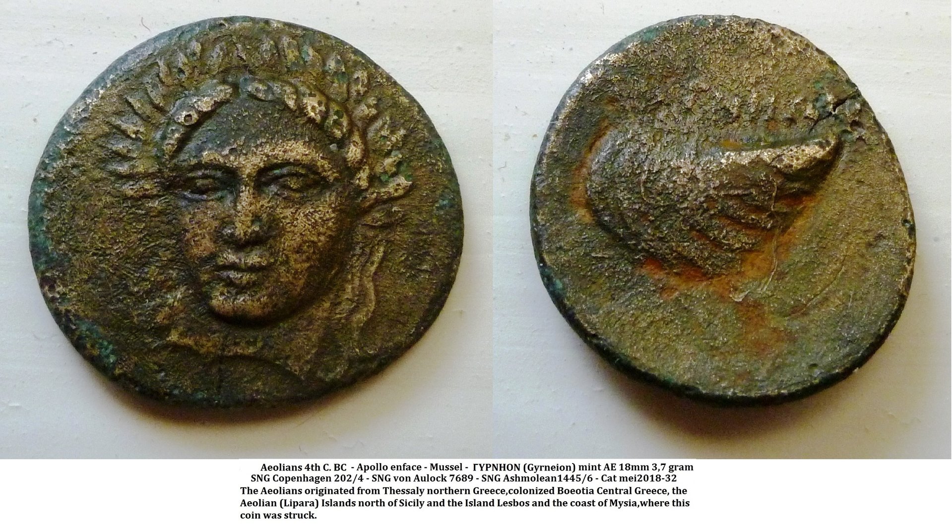 Aeolis - Lesbos - Apollo facing mussel 2.jpg