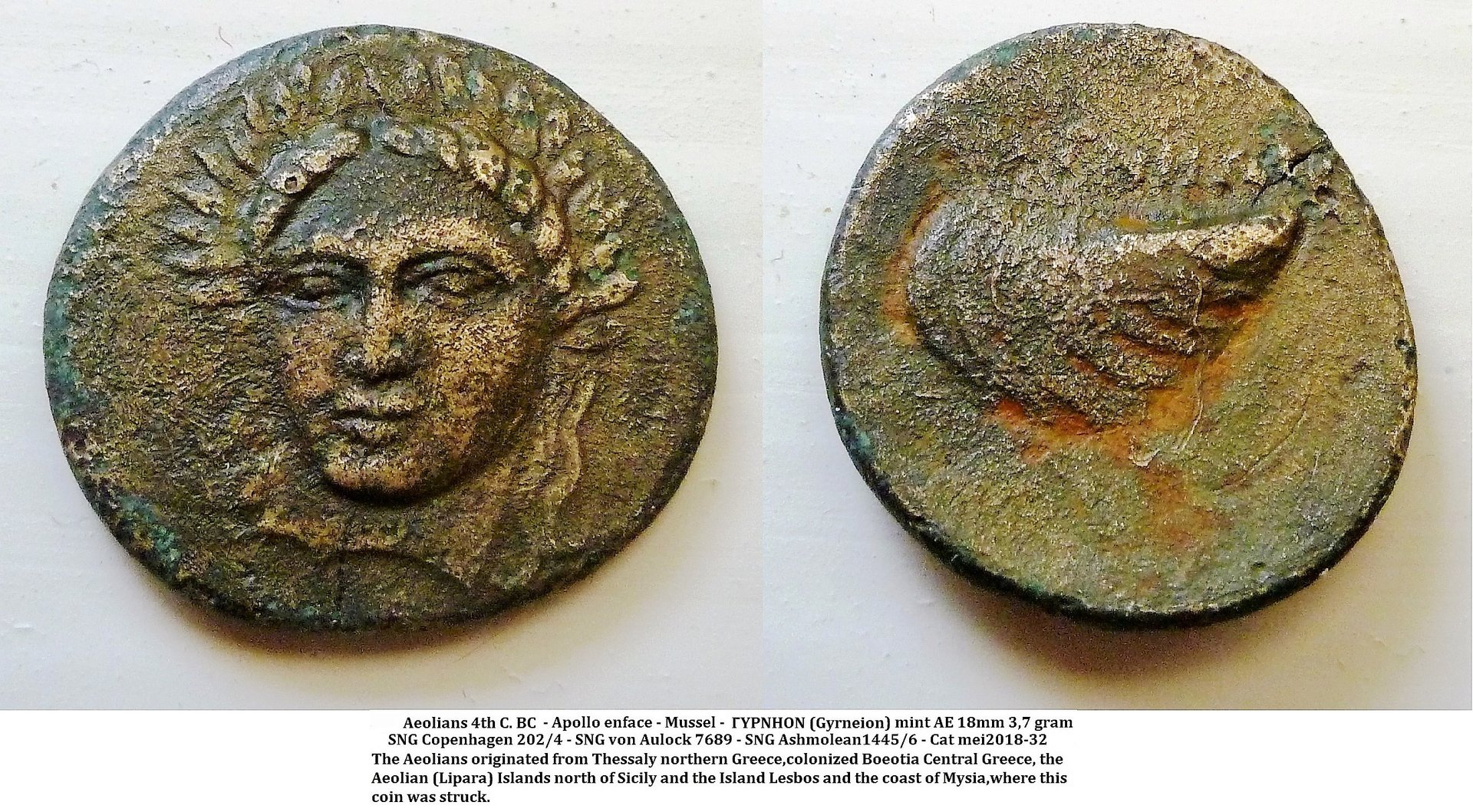 Aeolis - Lesbos - Apollo facing mussel 2.jpg