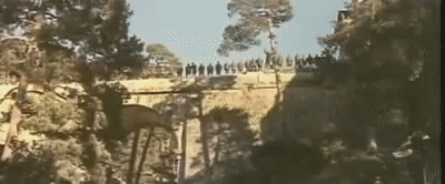 AFALL.gif