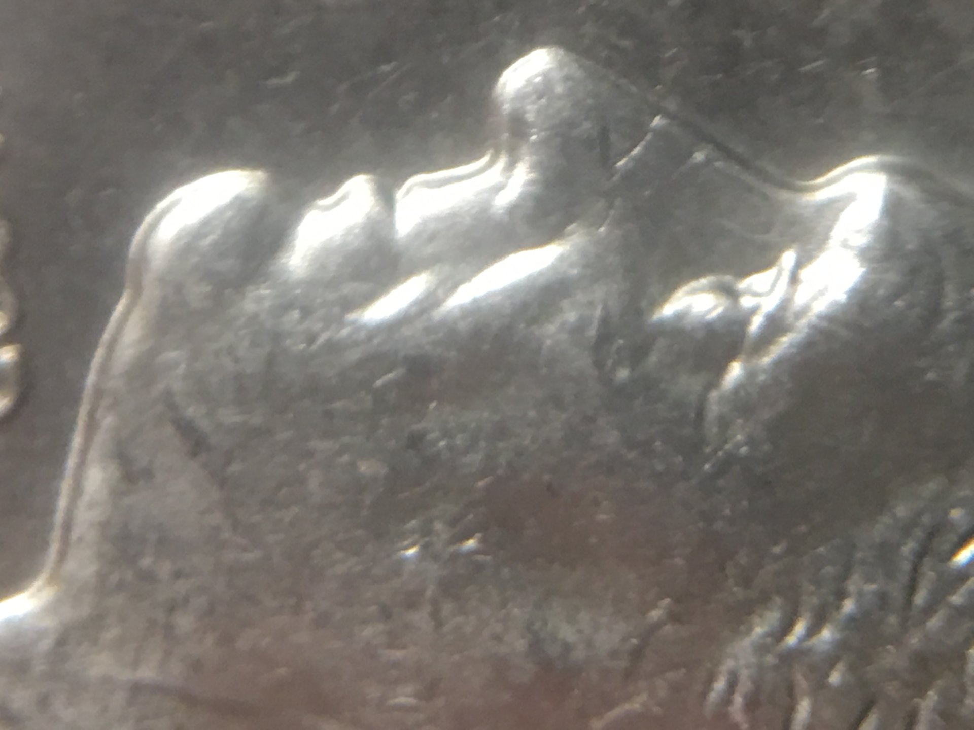 AFBE4826-257D-4780-B2D3-7E6BBD28E909.jpeg