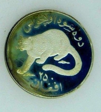 afghan.JPG
