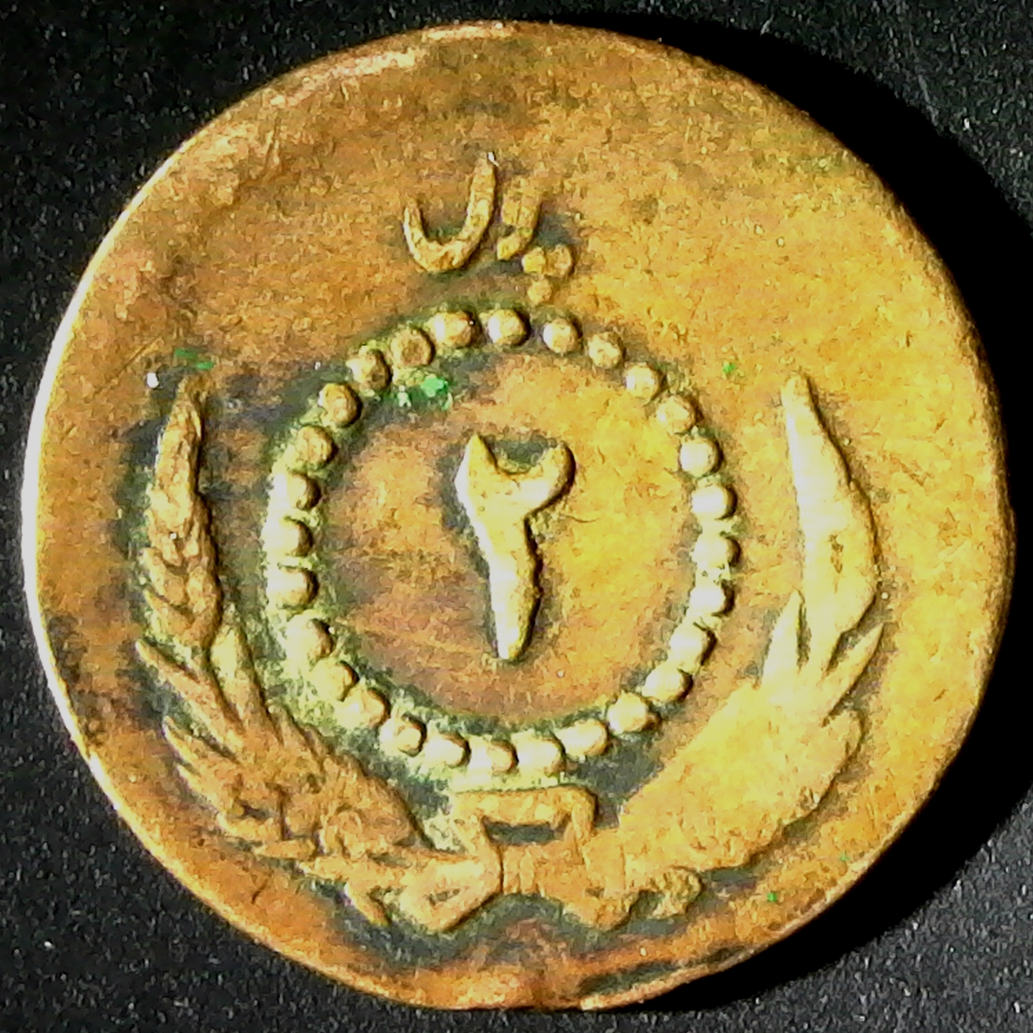 Afghanistan 2 Pul SH1312 1933 rev.jpg