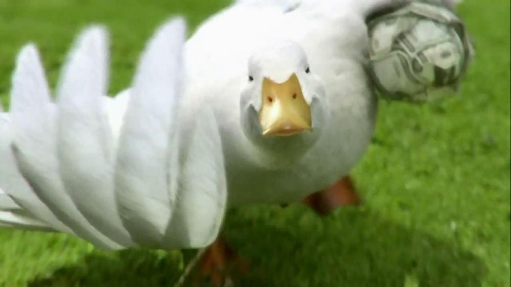 aflac-cash-benefits-football-large-4.jpg