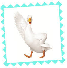 Aflac Duck.jpg