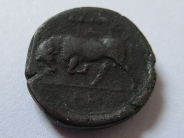 agathocles syracue reverse.JPG
