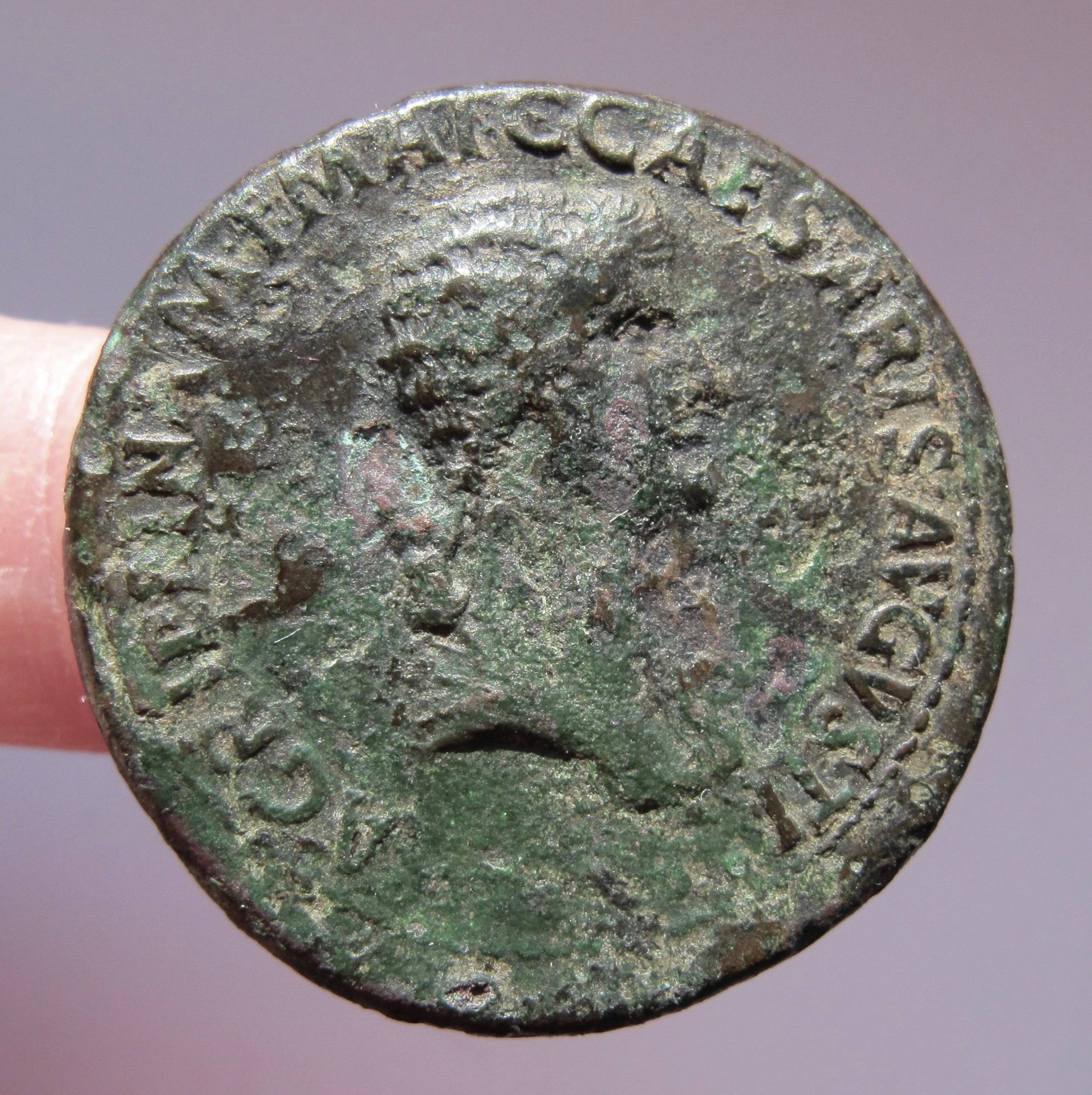 Aggripina Sestertius-Obv  - 1.jpg