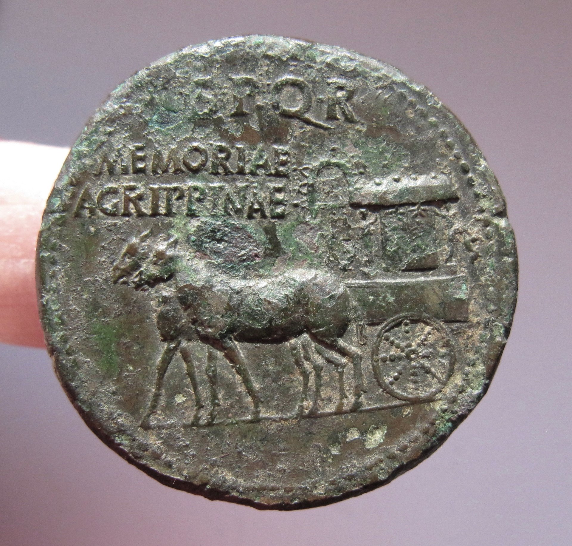 Aggripina Sestertius-Rev  - 1.jpg