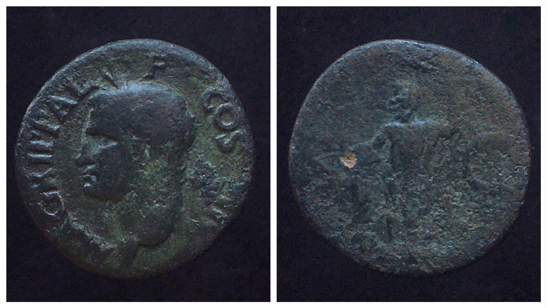 Agrippa 6 weeks merge.jpg