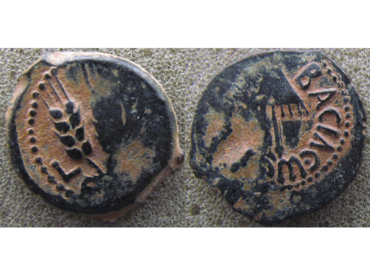 Agrippa I.jpg