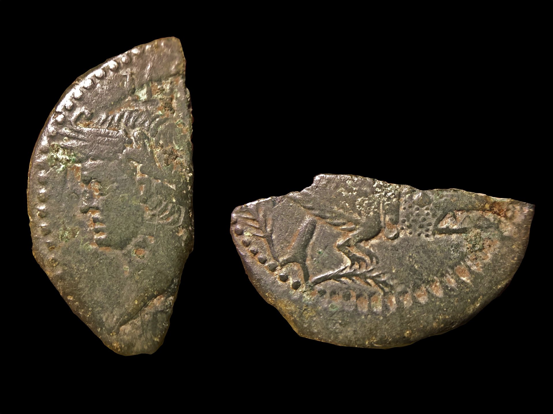 Agrippa - Nemausus half as.jpg