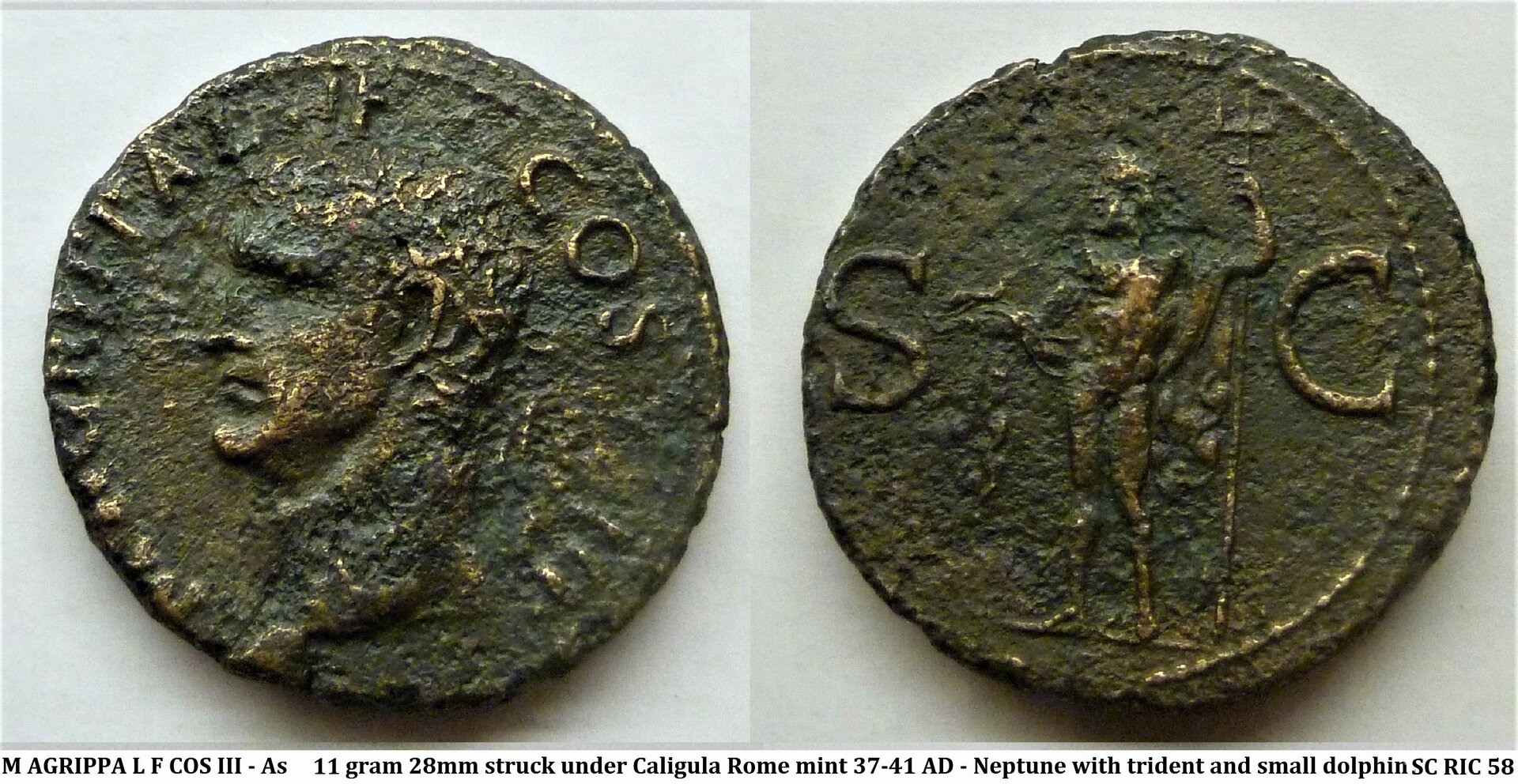 Agrippa neptune.jpg
