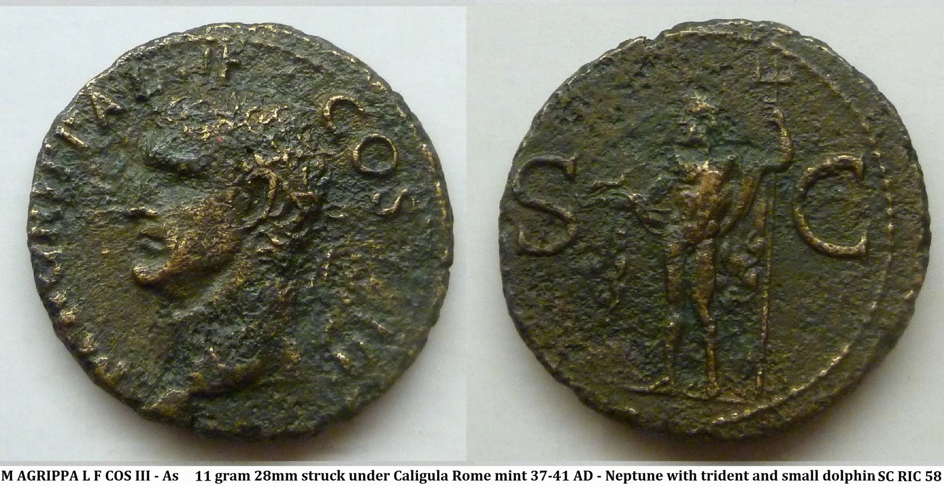 Agrippa neptune.jpg